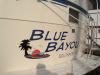Blue Bayou Fantail by magnawake