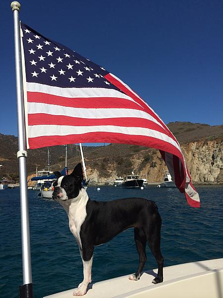Isabella onboard Pilar 4th of July Catalina Island