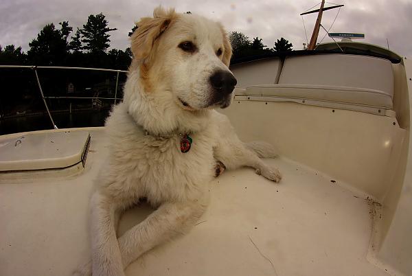 Bailey on the poop deck