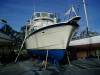 Ready_for_Antifouling