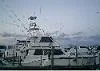 Hatteras 100x100.webp