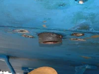 DSCF0104.webp