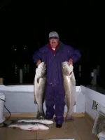 Stripers.webp