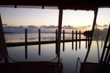 DCP_0494.webp