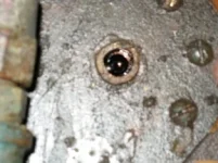 Picture 005.webp