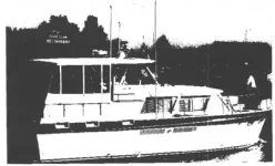 41C_1967.webp