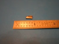 IMG_1065_1.webp