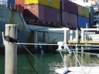Ship in Marina 006.webp