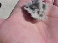 air filter 3.webp
