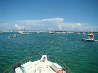DSC01599.webp