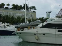 searay funny 004 (600 x 450).webp