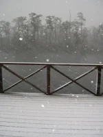 SNOW!!!.webp