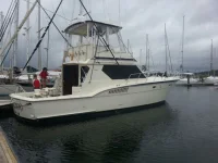 Boat.webp