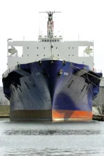 elfaro3.webp elfaro3.webp