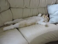DSCN2243.webp