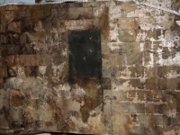 P4160043.webp