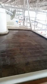 Rot all cleaned out.webp