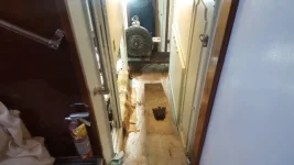 M20-Out.webp