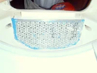 Dryer Lint Screeen Housing.webp Dryer Lint Screeen Housing.webp