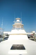 new boat-1.webp