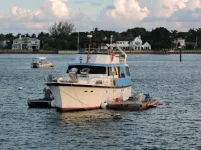 DSCN5297.webp