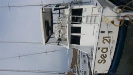 SEA 21 rear view.webp