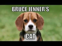 6295B897-6369-40E2-82E1-37DC0EB01A95.webp