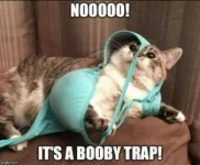 C9A3EA36-1F4F-49E7-BE1A-130D278914BD.webp
