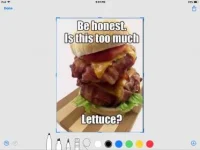 6357072A-8ADD-49A9-9C2C-B8E3FAF56562.webp