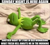9D24599F-2FA5-4FE9-8524-3C11F8131C7D.webp