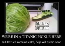 931EB876-8715-4C8B-923B-2851D62B1C66.webp