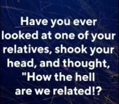 F326369E-1974-443B-B080-63EF7808995C.webp
