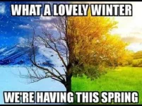 86885D31-5C95-40BC-AC5B-59C0D039BFA2.webp
