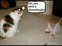 31402700-F0AD-4C4B-B8CC-D31BBA738E96.webp
