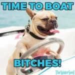 959450E8-7259-450B-A043-D4F996FACFCD.webp
