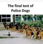 D793D8B8-0C7A-43F4-8371-2E29EB96A40E.webp