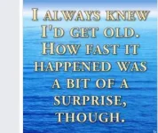 A5FC5960-6399-43F5-B687-D824D459E2CE.webp
