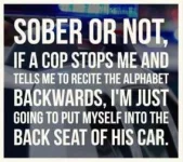 D0E458B2-17C5-4613-997B-AFFAE3B57729.webp
