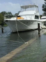 IMG_8449.webp IMG_8449.webp