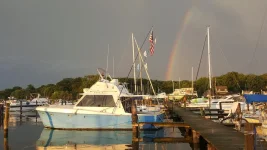 Mad Hatter Rainbow.webp