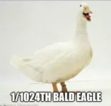69558B66-5593-419F-92B9-0A65B7E91D26.webp