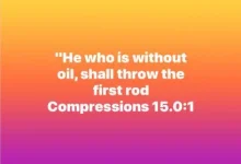 7B7C6E09-6C15-4B97-BA2C-18B7739ABD43.webp