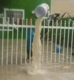 0C29C3D2-F007-49AF-9DE1-D4B0DF4268E0.webp