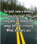 78667A76-0AFE-4970-AF31-023597FBC700.webp