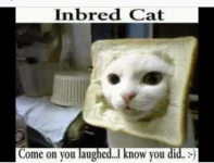 6BF84A89-3711-480F-961E-400A2695128B.webp