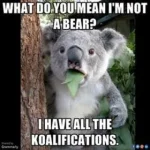 99479829-A147-4CA2-9613-FDBAF0C39162.webp