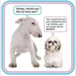 8090BF2F-4684-4EA6-9991-84B1009FD33E.webp