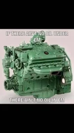 DD oil.webp