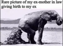 40243D31-1A5D-4EFC-B832-C18EE40BD465.webp