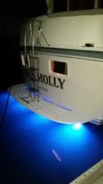 miss molly lights 1 small.webp